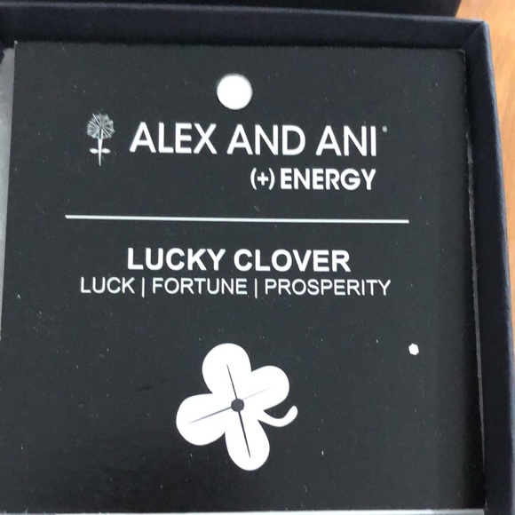 Alex and Ani Bracelet - Picture 3 of 3